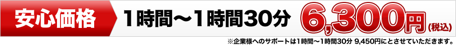 安心価格6,300円
